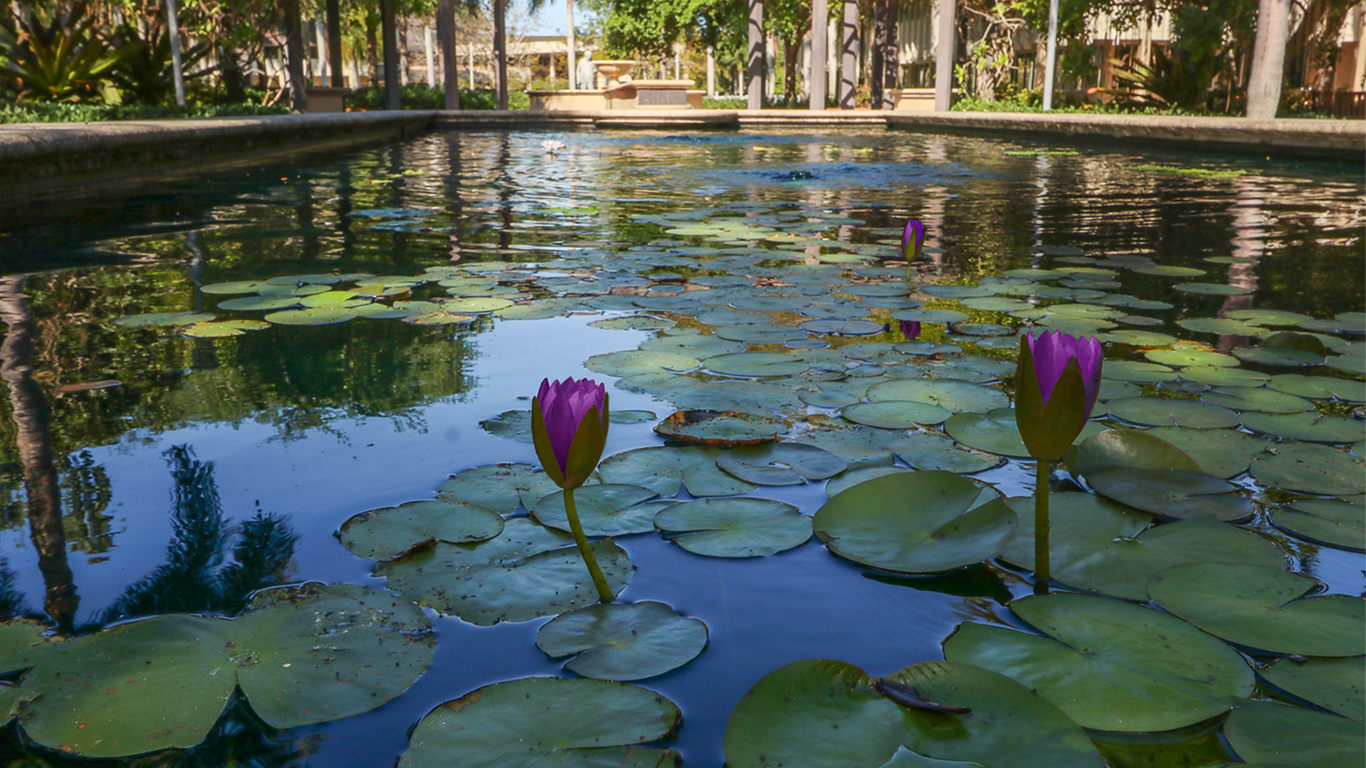 The mission of the FSW Foundation is to support the strategic priorities of Florida SouthWestern State College by providing additional funding and resources.